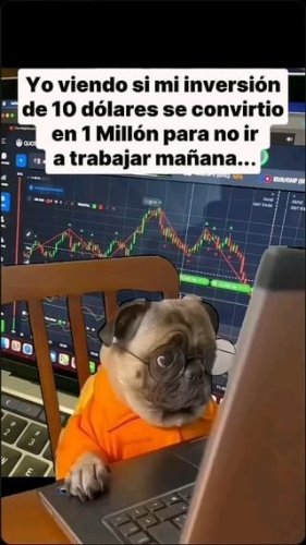 Video post from criptofacilplus.