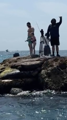 Video post from ejs_fishing_charters.
