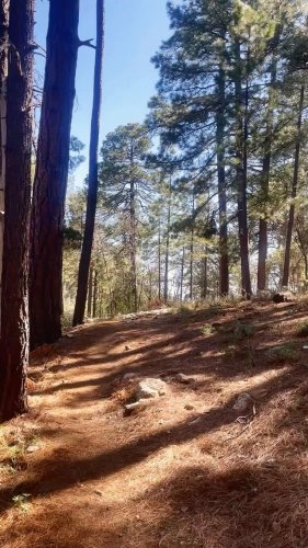 Video post from visittucson.