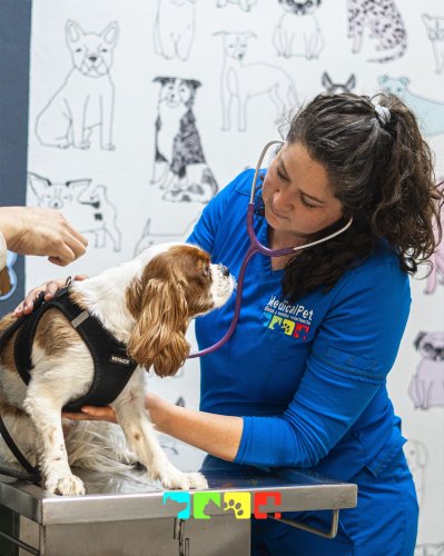 Photo post from medicalpettj.