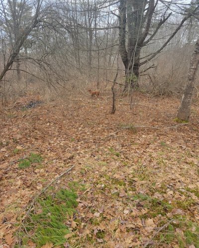 Photo post from reddogguideservice.