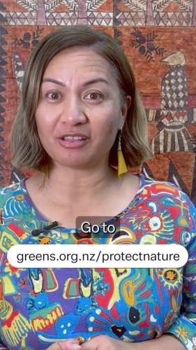 Video post from nzgreenparty.