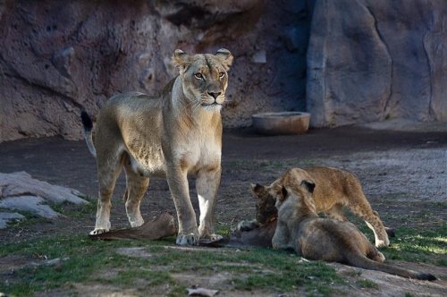 Photo post from visittucson.