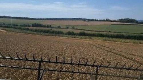 Video post from crowmarshbattlefarms.