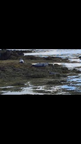 Video post.