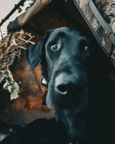 Photo post from northernskiesoutfitters.