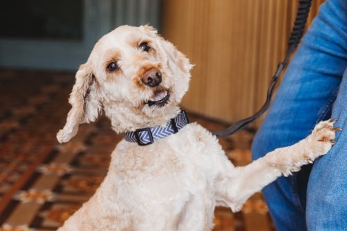 Carousel post from hotelvaratruro.