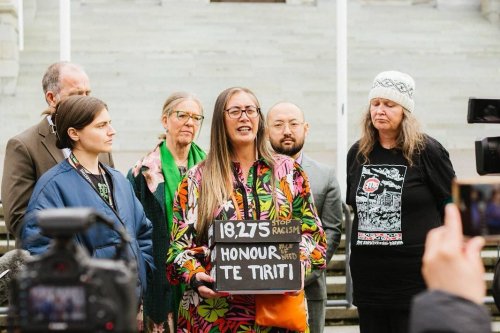 Carousel post from nzgreenparty.