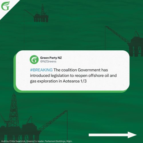 Carousel post from nzgreenparty.