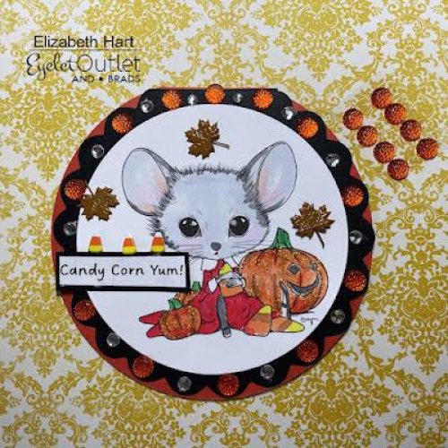 Photo post from Eyelet Outlet.