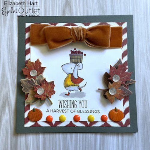 Photo post from Eyelet Outlet.