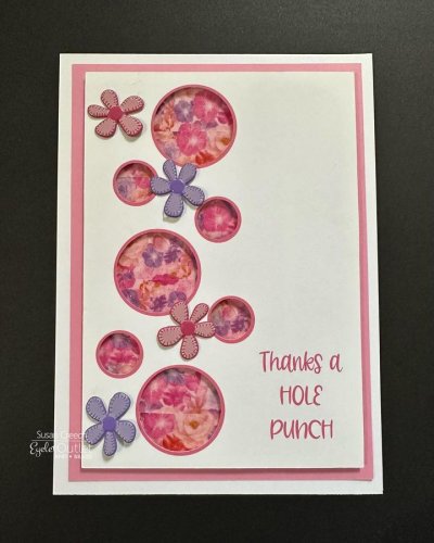 Photo post from Eyelet Outlet.