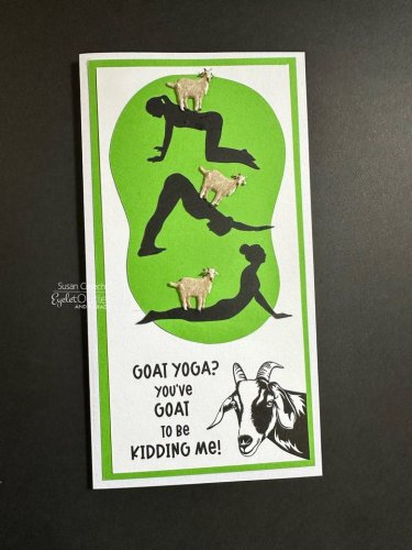 Carousel post from Eyelet Outlet.