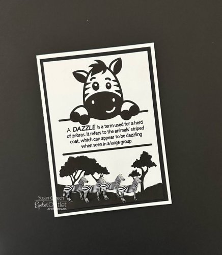 Carousel post from Eyelet Outlet.