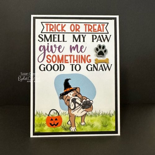 Photo post from Eyelet Outlet.