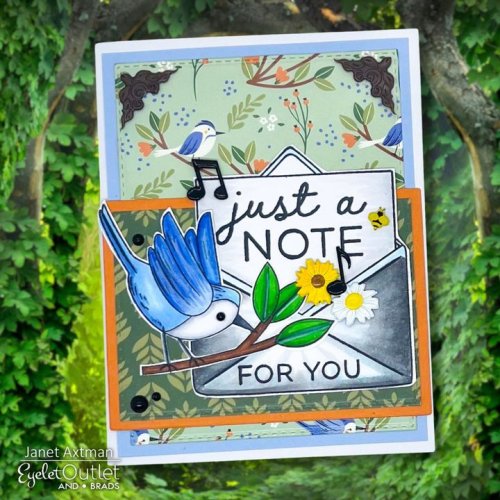 Photo post from Eyelet Outlet.