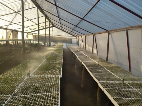 Carousel post from Laeveld Agrochem.