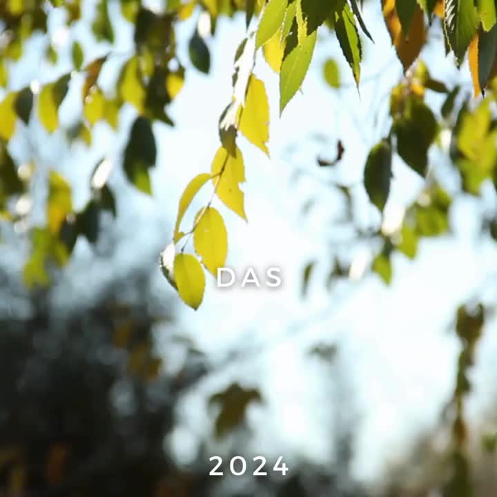 Video post from Welterberegion Anhalt-Dessau-Wittenberg e.V..