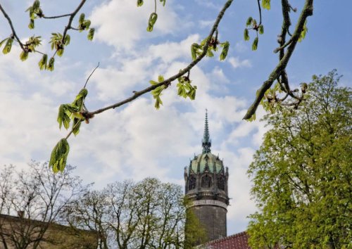 Photo post from Welterberegion Anhalt-Dessau-Wittenberg e.V..