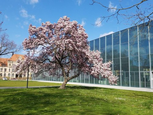 Photo post from Welterberegion Anhalt-Dessau-Wittenberg e.V..