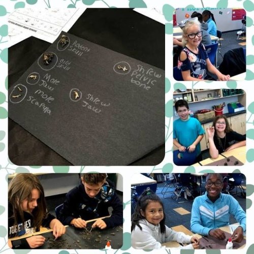 Photo post from Clark-Pleasant Middle School.