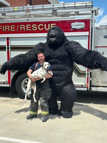 Photo post from Cullman Fire Rescue.