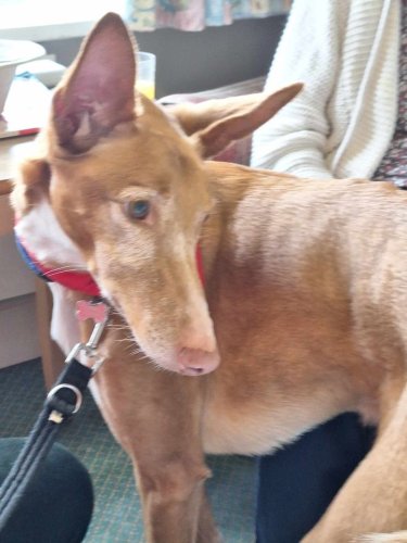 Carousel post from Ventress Hall care home.