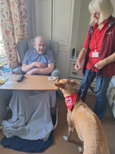 Carousel post from Ventress Hall care home.