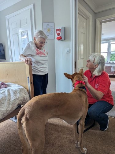 Carousel post from Ventress Hall care home.