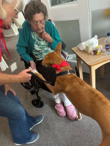 Carousel post from Ventress Hall care home.