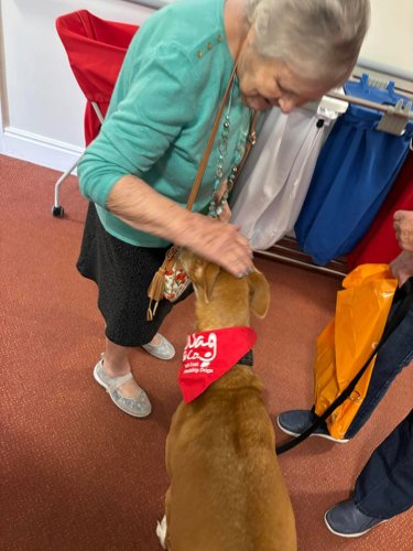 Carousel post from Ventress Hall care home.