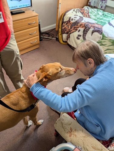 Carousel post from Ventress Hall care home.