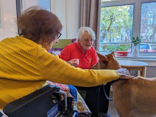 Carousel post from Ventress Hall care home.