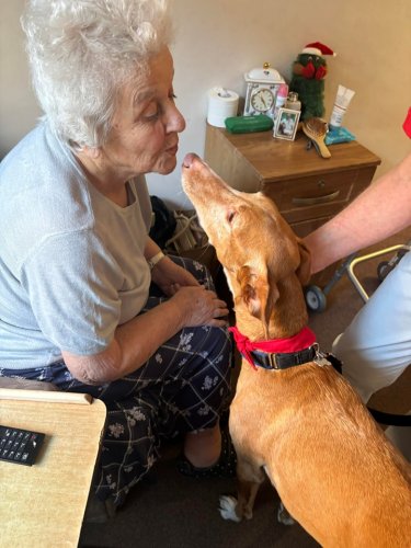 Carousel post from Ventress Hall care home.