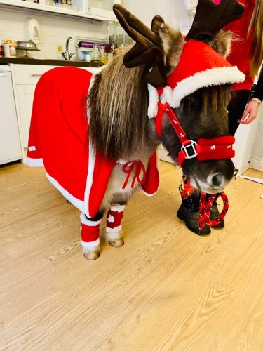 Photo post from Amberley Lodge Care Home.