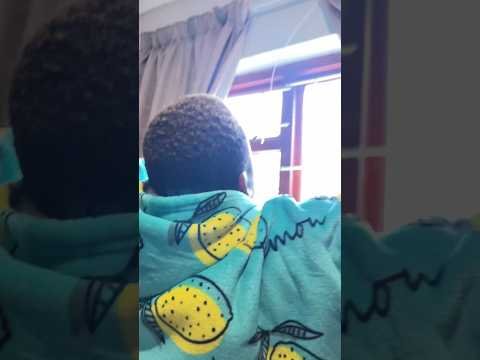 Video post from Tinta Tribe.