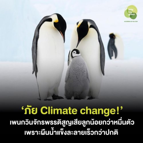 Photo post from Little Big Green.