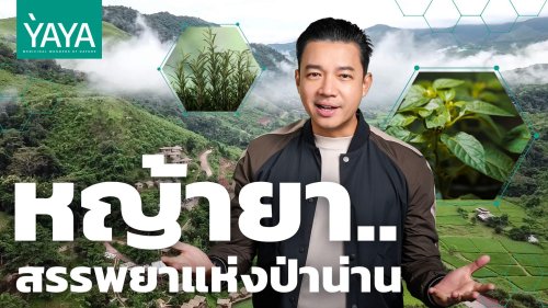 Video post from Little Big Green.