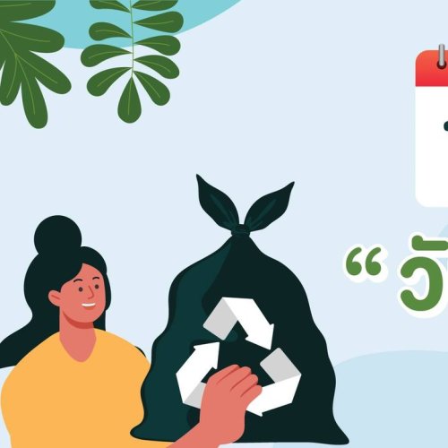 Carousel post from Little Big Green.