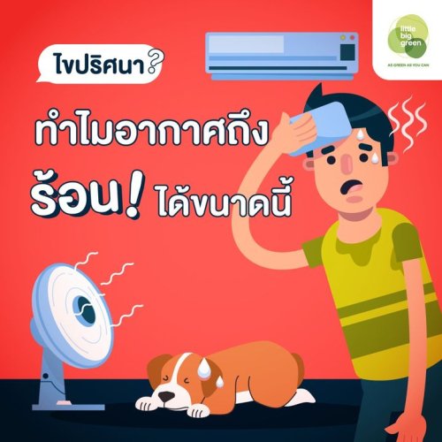 Photo post from Little Big Green.