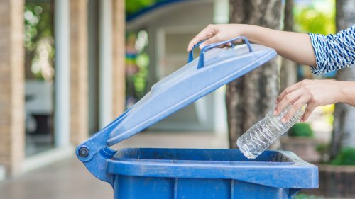 Photo post from Sustainable Newton.