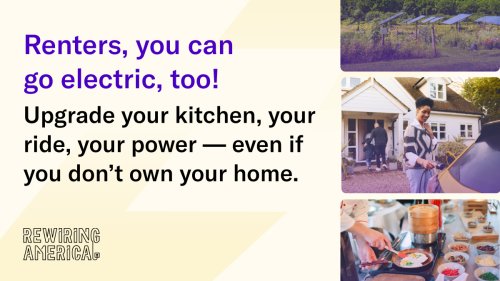 Photo post from Sustainable Newton.