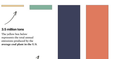 Photo post from Sustainable Newton.