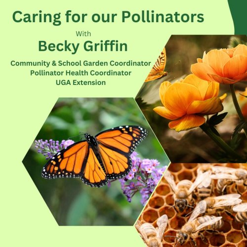 Photo post from Sustainable Newton.