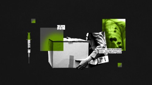 Photo post from Sustainable Newton.