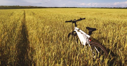 Photo post from Sustainable Newton.