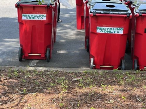 Photo post from Sustainable Newton.