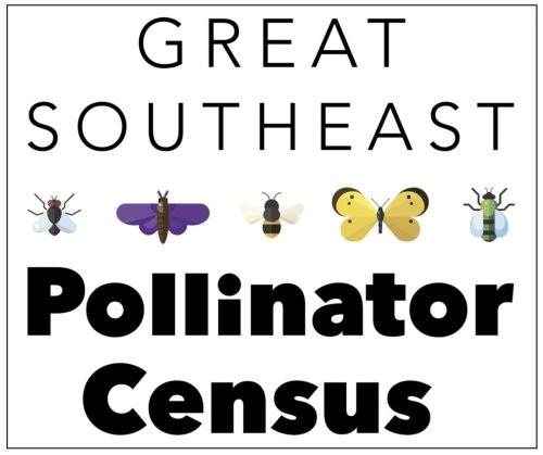 Photo post from Sustainable Newton.