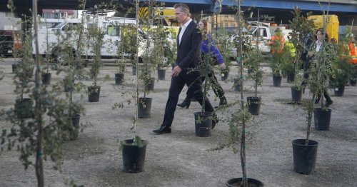 Photo post from Sustainable Newton.