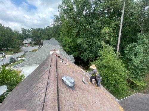 Photo post from Sustainable Newton.